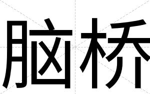 脑桥