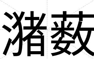 潴薮