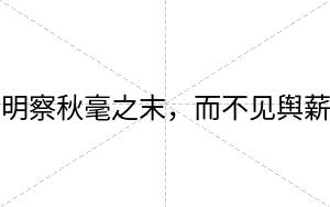 明察秋毫之末，而不见舆薪