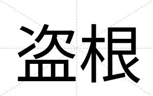盗根