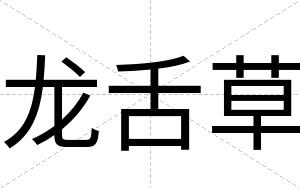 龙舌草