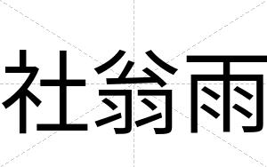社翁雨
