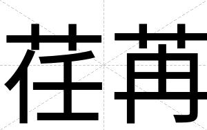 荏苒