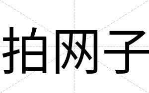 拍网子
