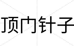 顶门针子