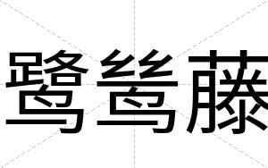 鹭鸶藤
