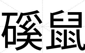 磎鼠