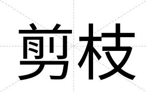 剪枝