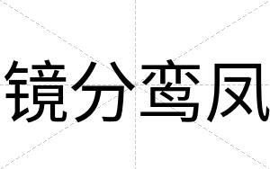 镜分鸾凤