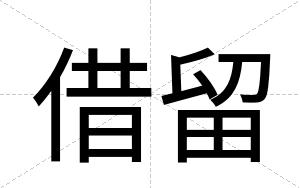 借留