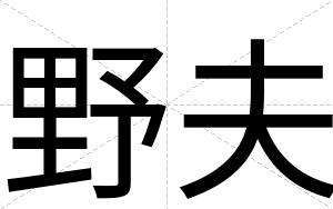 野夫