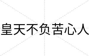 皇天不负苦心人