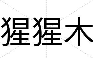 猩猩木