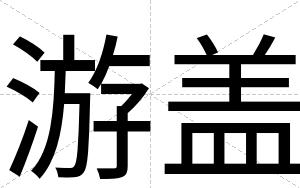 游盖
