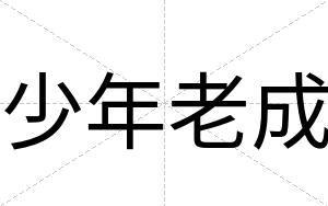 少年老成