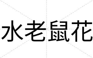 水老鼠花
