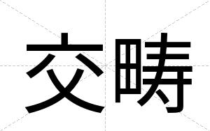 交畴