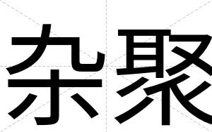 杂聚