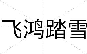 飞鸿踏雪