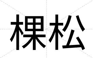 棵松