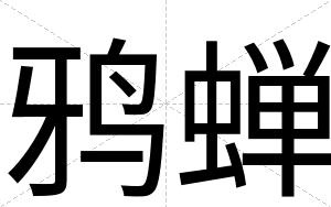 鸦蝉