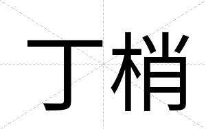 丁梢