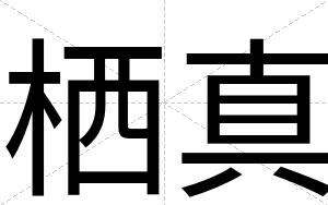 栖真
