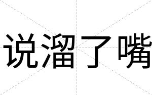 说溜了嘴