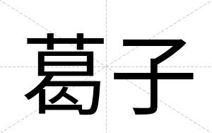 葛子
