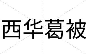 西华葛被