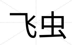飞虫