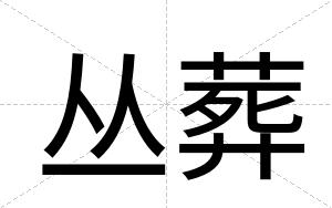 丛葬