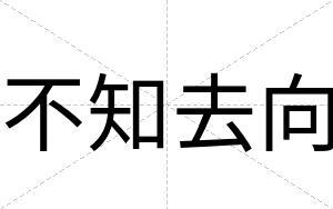 不知去向