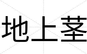 地上茎