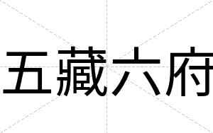 五藏六府