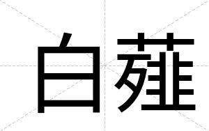 白薤