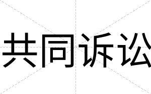 共同诉讼