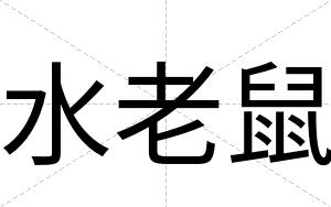 水老鼠