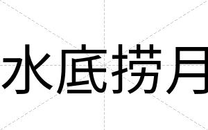 水底捞月