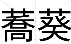 蕎葵