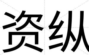 资纵