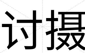 讨摄