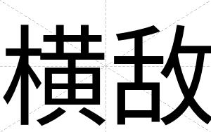 横敌