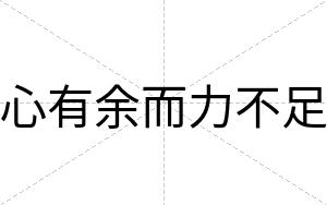 心有余而力不足