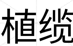 植缆
