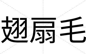 翅扇毛