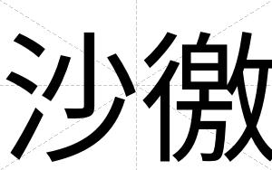 沙徼