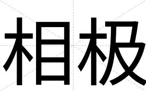 相极