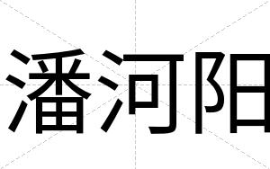 潘河阳