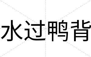 水过鸭背